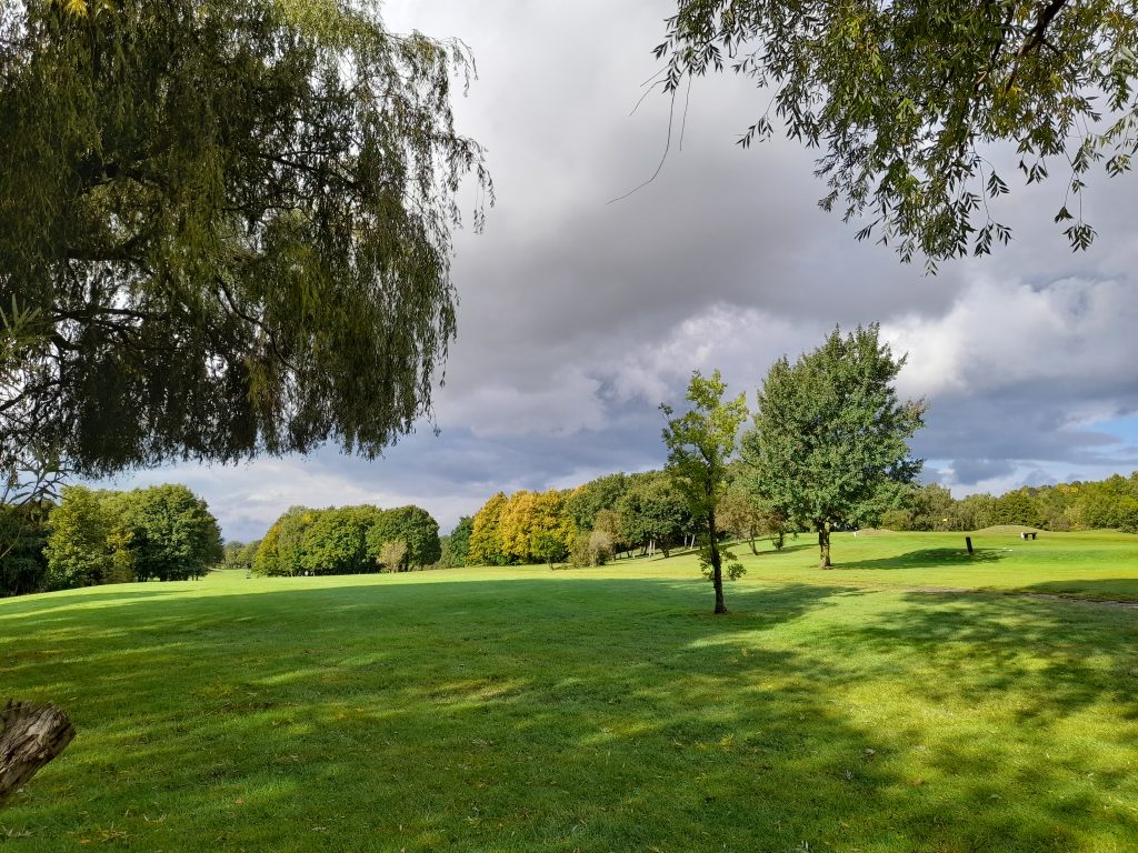 photo of sunshine on fields and trees