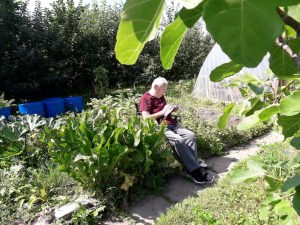 photo of man doing artwork at allotment in sunshine