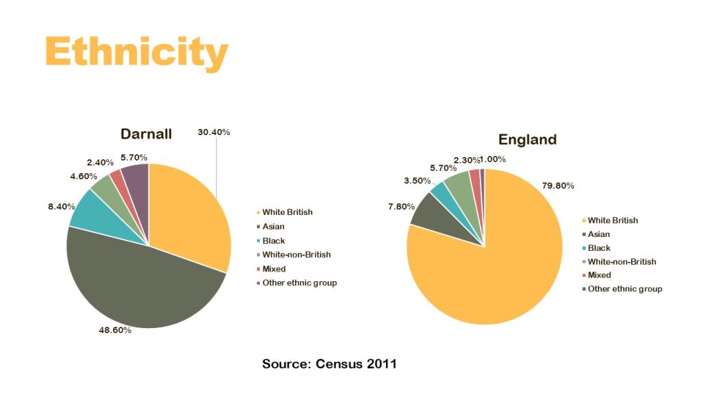ethnicity infographic