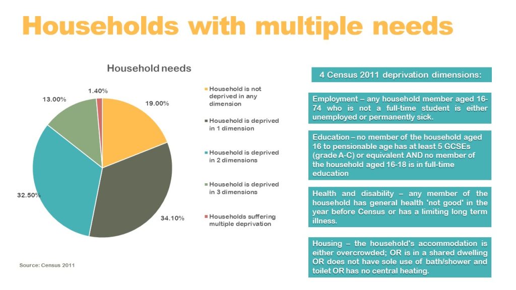 households with multiple needs infographic