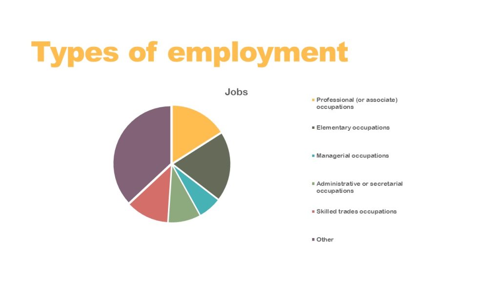 types of employment infographic