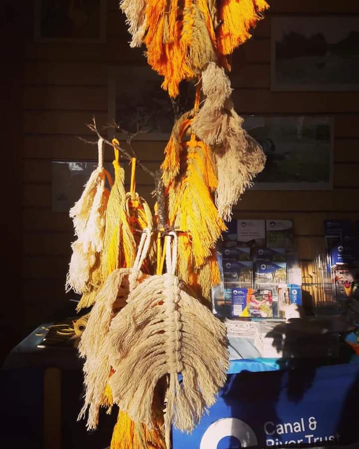 Orange and brown macrame feathers hanging from branches in sunlight