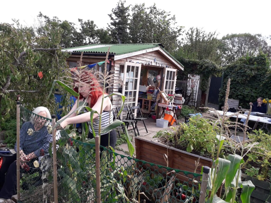 2 women working on a community allotment - 1 seated, 1 standing. There's a summer house open behind them.