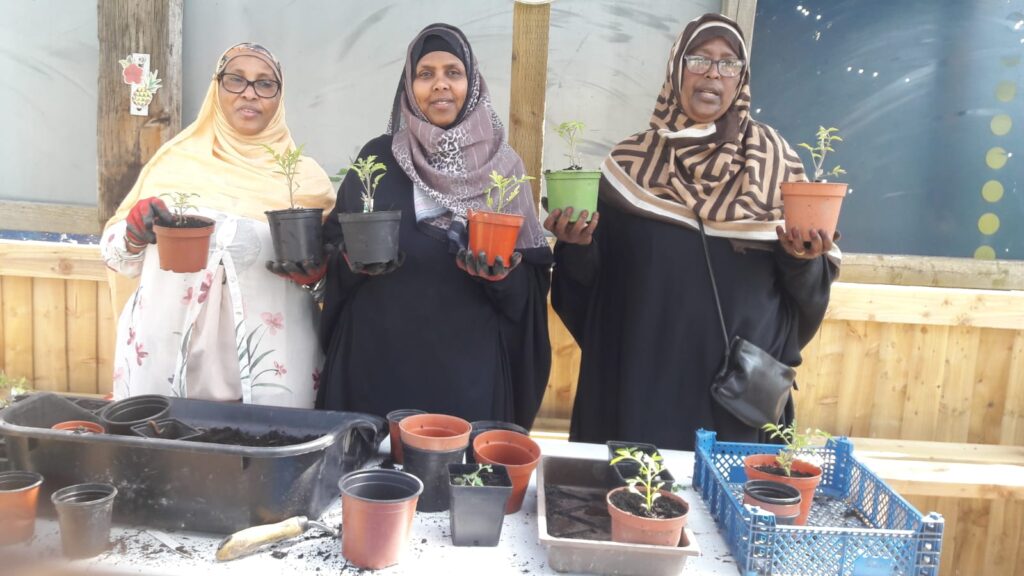 3 women in headscarves holding up plants in pots, standing behind a table covered with plants