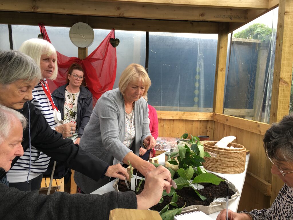 group of people putting items into a large circle of soil with plants in it.